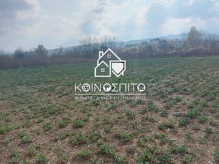 Αγροτεμάχια 2.500 τ.μ. πρός πώληση, Ημαθία, Δοβρά-thumb-7