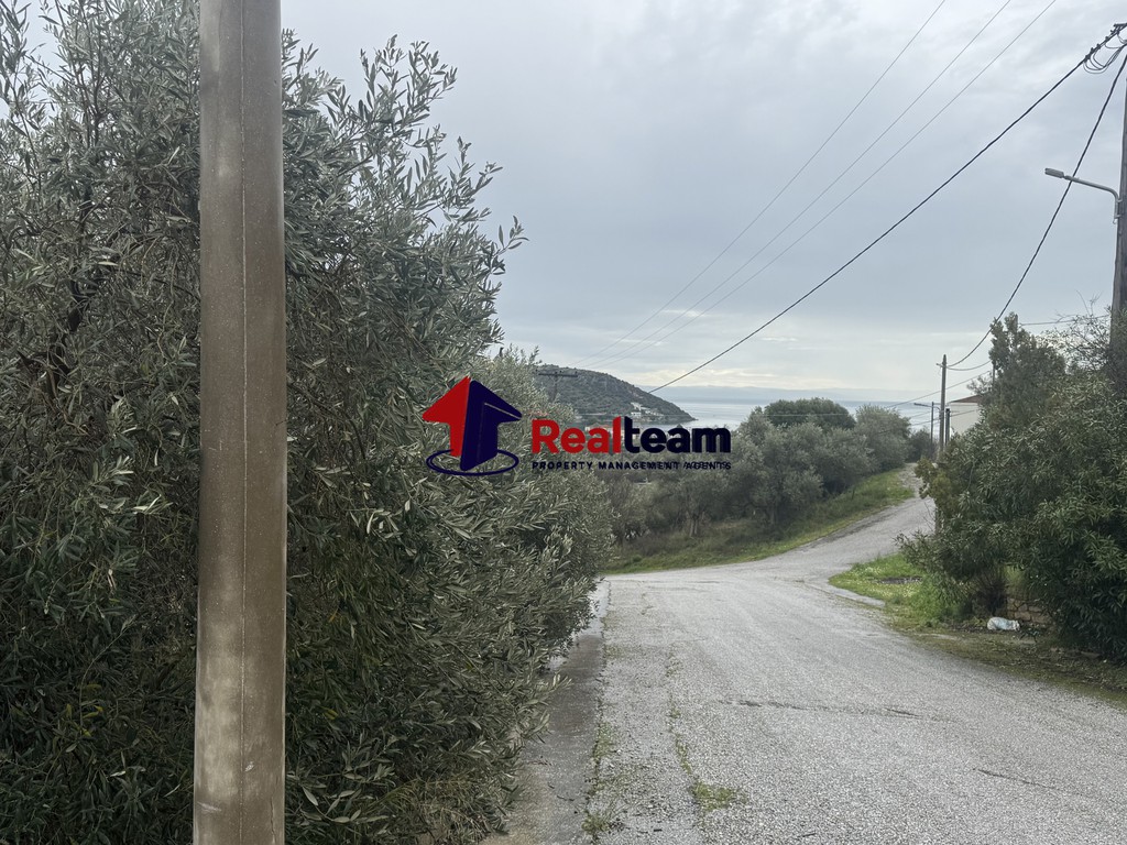 Οικόπεδο 295 τ.μ. πρός πώληση, Μαγνησία, Αισωνία