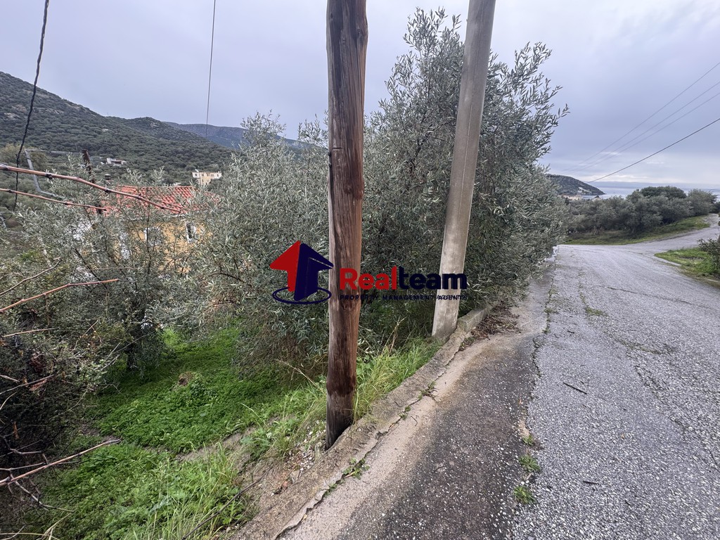 Οικόπεδο 295 τ.μ. πρός πώληση, Μαγνησία, Αισωνία