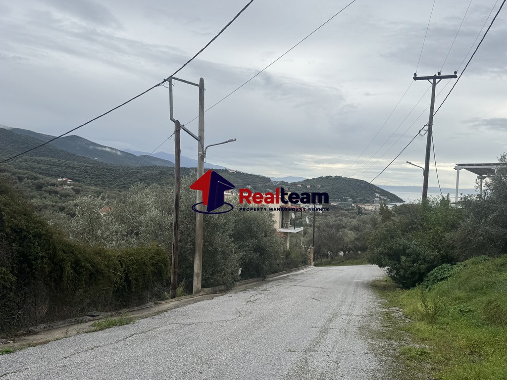 Οικόπεδο 295 τ.μ. πρός πώληση, Μαγνησία, Αισωνία