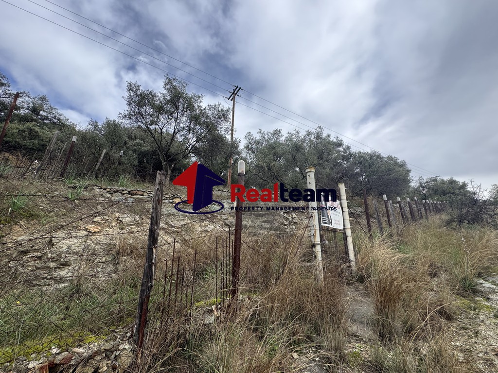 Αγροτεμάχια 2.285 τ.μ. πρός πώληση, Μαγνησία, Αισωνία