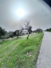 Αγροτεμάχια 6.400 τ.μ. για πώληση, Εύβοια, Αμάρυνθος-thumb-9