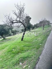 Αγροτεμάχια 6.400 τ.μ. για πώληση, Εύβοια, Αμάρυνθος-thumb-7