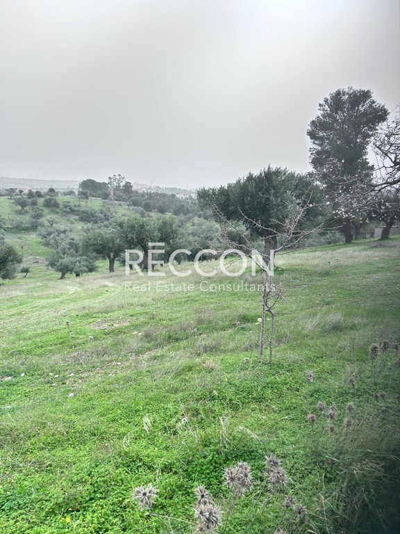 Οικόπεδο 6.400 τ.μ. προς πώληση, Καλλιθέα Αμαρύνθου