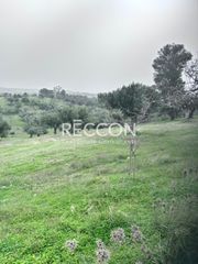 Αγροτεμάχια 6.400 τ.μ. για πώληση, Εύβοια, Αμάρυνθος-thumb-4