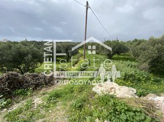Αγροτεμάχια 3.574 τ.μ. για πώληση