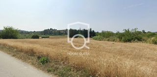 Αγροτεμάχια 6.404 τ.μ. προς πώληση, Ποσείδι-thumb-1