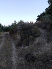 Αγροτεμάχια 14.500 τ.μ. για πώληση, Μεσσηνία, Πεταλίδι-thumb-5