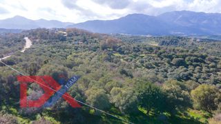 Land plot 1.744 sqm for sale, Rethymno Prefecture, Lappa-thumb-2