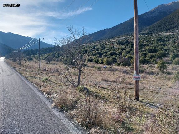 Αγροτεμάχια 46.000 τ.μ. για πώληση, Αρκαδία, Λεβίδι