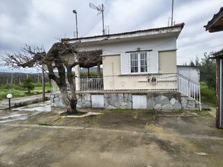 Farm 5.000 sqm for sale