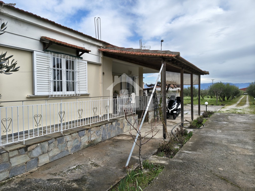 Φάρμα / ράντσο 5.000 τ.μ. πρός πώληση, Μαγνησία, Φερών
