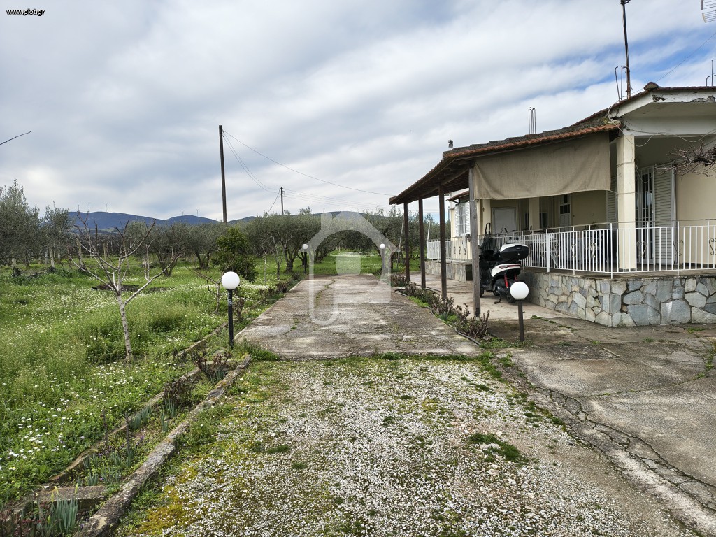Φάρμα / ράντσο 5.000 τ.μ. πρός πώληση, Μαγνησία, Φερών