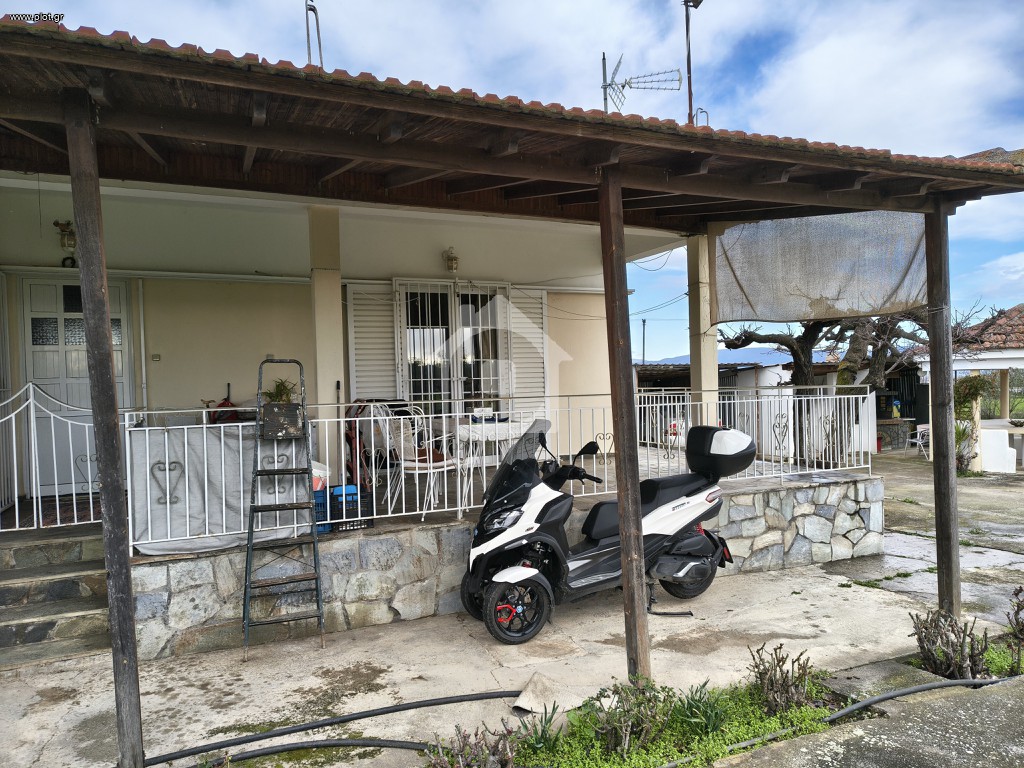 Φάρμα / ράντσο 5.000 τ.μ. πρός πώληση, Μαγνησία, Φερών
