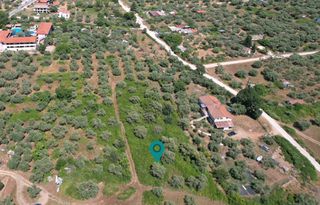 Αγροτεμάχια 780 τ.μ. για πώληση, Ν. Καβάλας, Θάσος-thumb-3