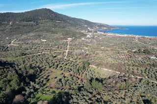 Αγροτεμάχια 780 τ.μ. για πώληση, Ν. Καβάλας, Θάσος-thumb-6