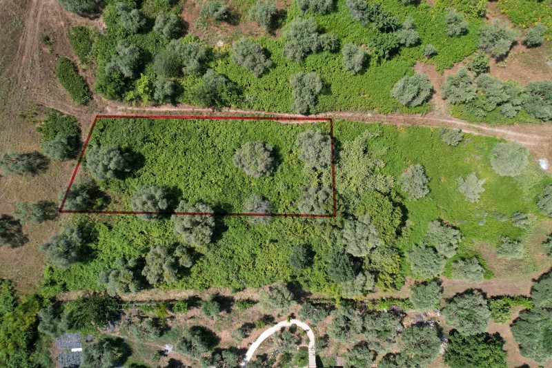 Αγροτεμάχια 780 τ.μ. προς πώληση, Ποταμιά Θάσου