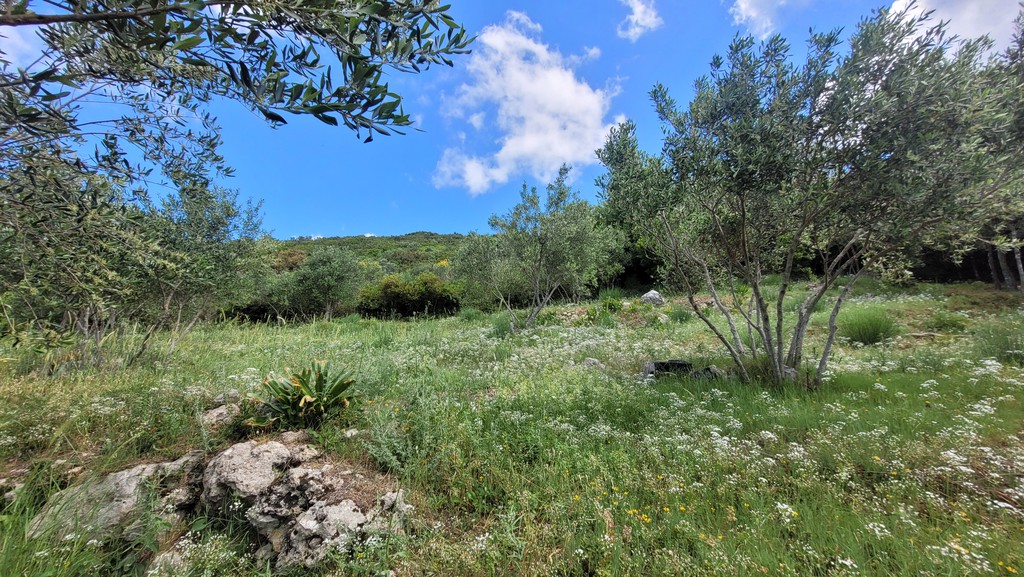 Οικόπεδο 4.056 τ.μ. πρός πώληση, Ν. Κέρκυρας, Κέρκυρα