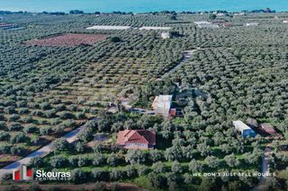 Μονοκατοικία 90 τ.μ. για πώληση, Μεσσηνία, Γαργαλιάνοι-thumb-19