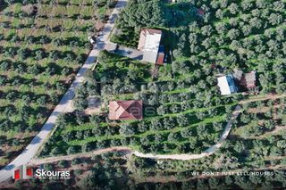 Μονοκατοικία 90 τ.μ. για πώληση, Μεσσηνία, Γαργαλιάνοι-thumb-26
