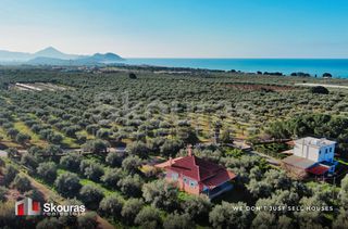 Μονοκατοικία 90 τ.μ. για πώληση, Μεσσηνία, Γαργαλιάνοι-thumb-23