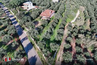 Μονοκατοικία 90 τ.μ. για πώληση, Μεσσηνία, Γαργαλιάνοι-thumb-18