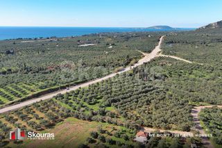 Οικόπεδο 9.000 τ.μ. για πώληση, Μεσσηνία, Γαργαλιάνοι-thumb-9