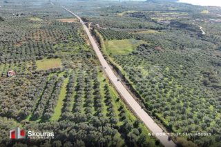 Οικόπεδο 9.000 τ.μ. για πώληση, Μεσσηνία, Γαργαλιάνοι-thumb-4