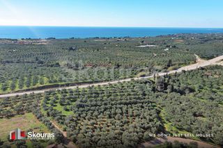 Οικόπεδο 9.000 τ.μ. για πώληση, Μεσσηνία, Γαργαλιάνοι-thumb-8