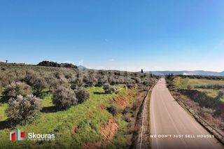 Οικόπεδο 9.000 τ.μ. για πώληση, Μεσσηνία, Γαργαλιάνοι-thumb-26