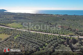 Οικόπεδο 9.000 τ.μ. για πώληση, Μεσσηνία, Γαργαλιάνοι-thumb-7