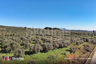 Οικόπεδο 9.000 τ.μ. για πώληση, Μεσσηνία, Γαργαλιάνοι-thumb-28