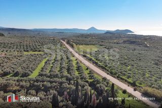 Οικόπεδο 9.000 τ.μ. για πώληση, Μεσσηνία, Γαργαλιάνοι-thumb-5