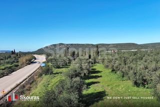 Οικόπεδο 9.000 τ.μ. για πώληση, Μεσσηνία, Γαργαλιάνοι-thumb-23