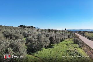 Οικόπεδο 9.000 τ.μ. για πώληση, Μεσσηνία, Γαργαλιάνοι-thumb-24