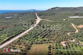Οικόπεδο 9.000 τ.μ. για πώληση, Μεσσηνία, Γαργαλιάνοι-thumb-10