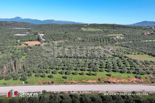 Οικόπεδο 9.000 τ.μ. για πώληση, Μεσσηνία, Γαργαλιάνοι-thumb-6