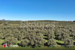 Οικόπεδο 9.000 τ.μ. για πώληση, Μεσσηνία, Γαργαλιάνοι-thumb-27