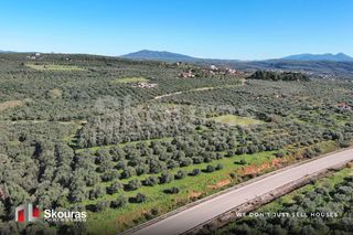 Οικόπεδο 9.000 τ.μ. για πώληση, Μεσσηνία, Γαργαλιάνοι-thumb-1