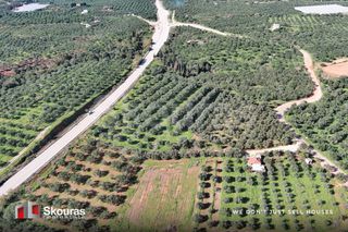 Οικόπεδο 9.000 τ.μ. για πώληση, Μεσσηνία, Γαργαλιάνοι-thumb-12