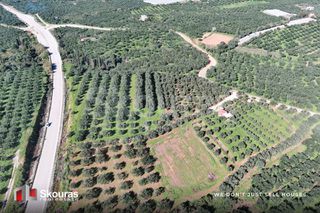 Οικόπεδο 9.000 τ.μ. για πώληση, Μεσσηνία, Γαργαλιάνοι-thumb-13