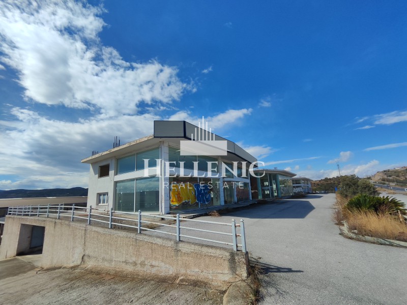 Επιχειρηματικό κτίριο 2.309 τ.μ. πρός πώληση, Μαγνησία, Ιωλκός