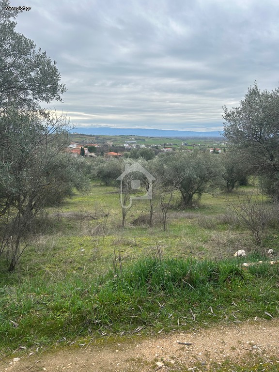 Οικόπεδο 850 τ.μ. πρός πώληση, Ν. Σερρών, Εμμανουήλ Παππάς