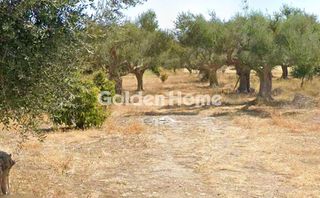 Οικόπεδο 1.050 τ.μ. για πώληση