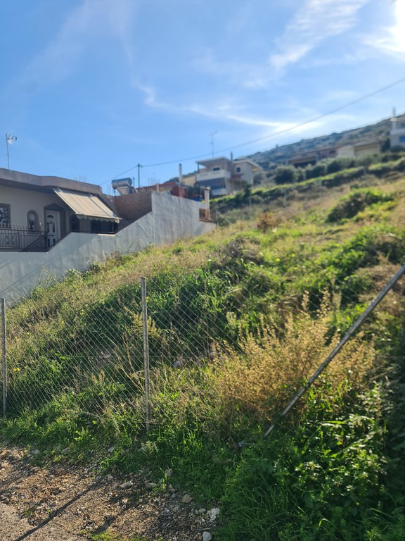 Οικόπεδο 252 τ.μ. προς πώληση, Δοκός Χαλκίδας