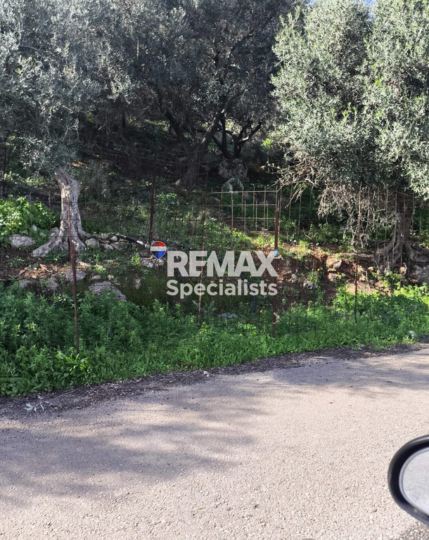 Οικόπεδο 4.937 τ.μ. προς πώληση, Νεροκούρος