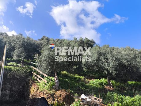Land plot 4.937 sqm for sale