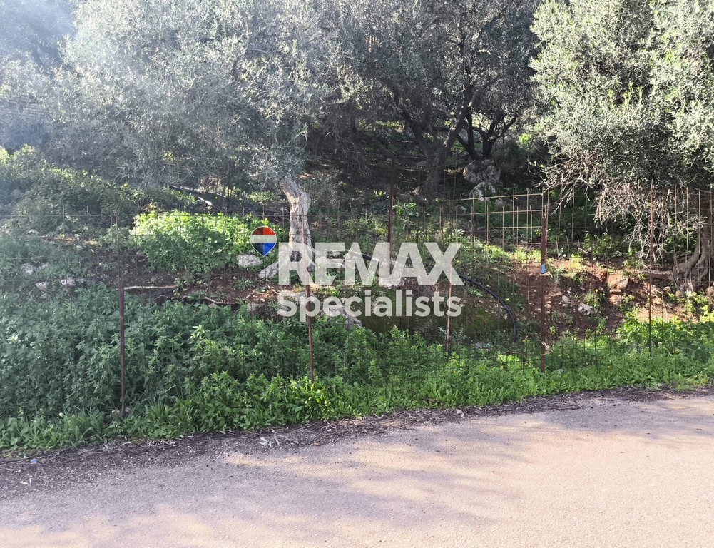 Οικόπεδο 4.937 τ.μ. προς πώληση, Νεροκούρος