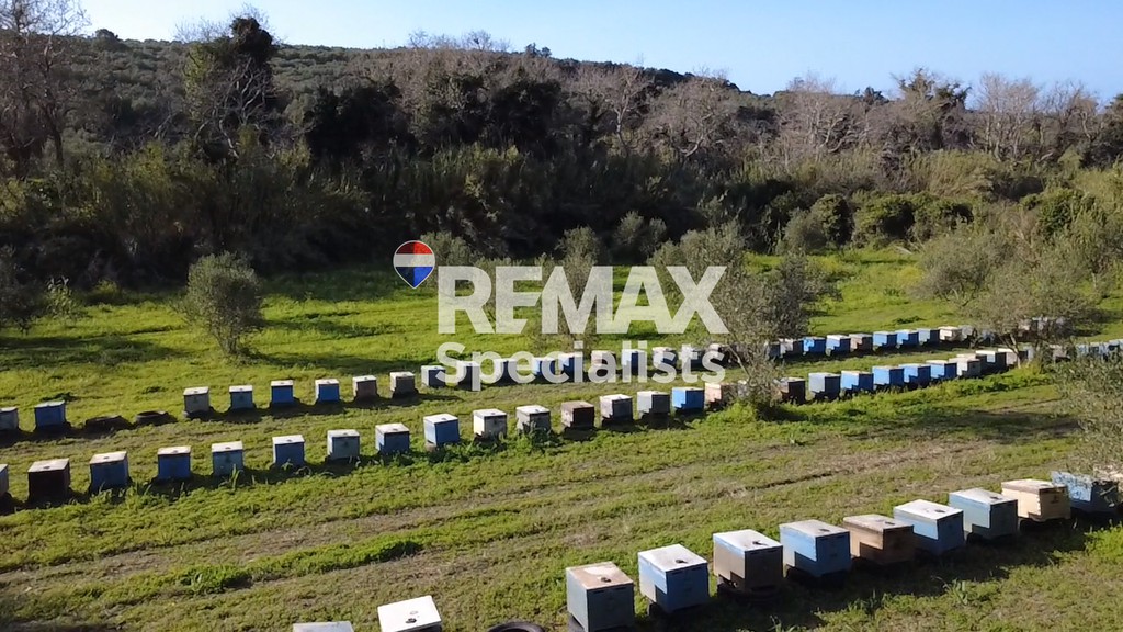 Οικόπεδο 4.637 τ.μ. προς πώληση, Κοντομάρι