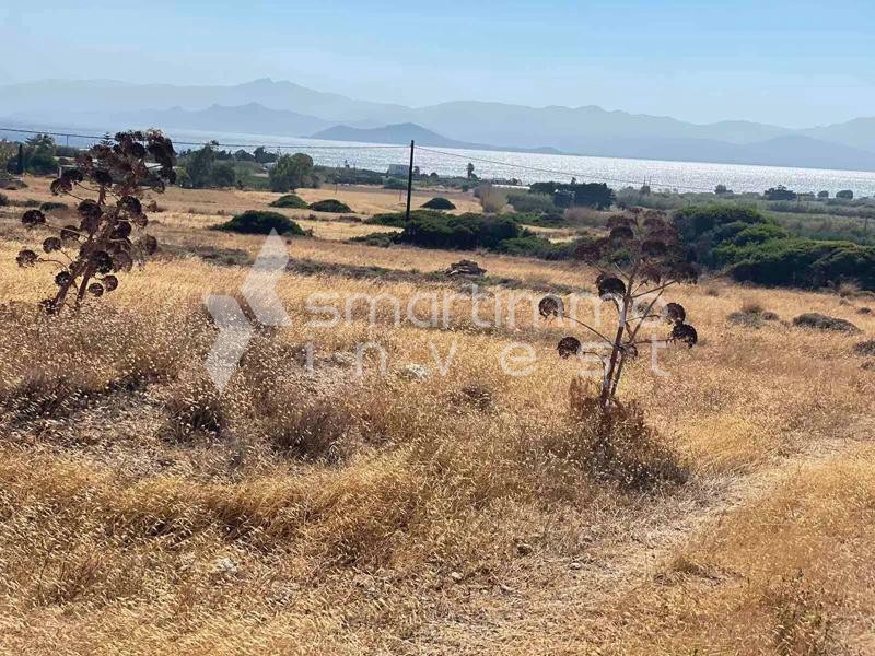 Αγροτεμάχια 6.000 τ.μ. προς πώληση, Γλυφάδες